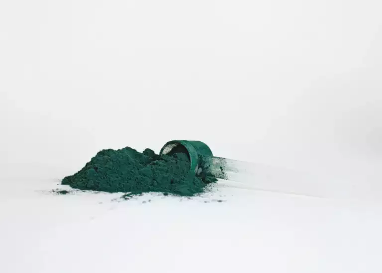 Spiruline danger, devrait-on s’inquièter ? (2023)