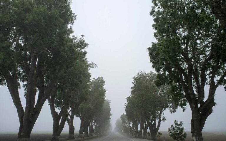 Combien de temps la chimio reste dans le corps ?